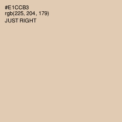 #E1CCB3 - Just Right Color Image